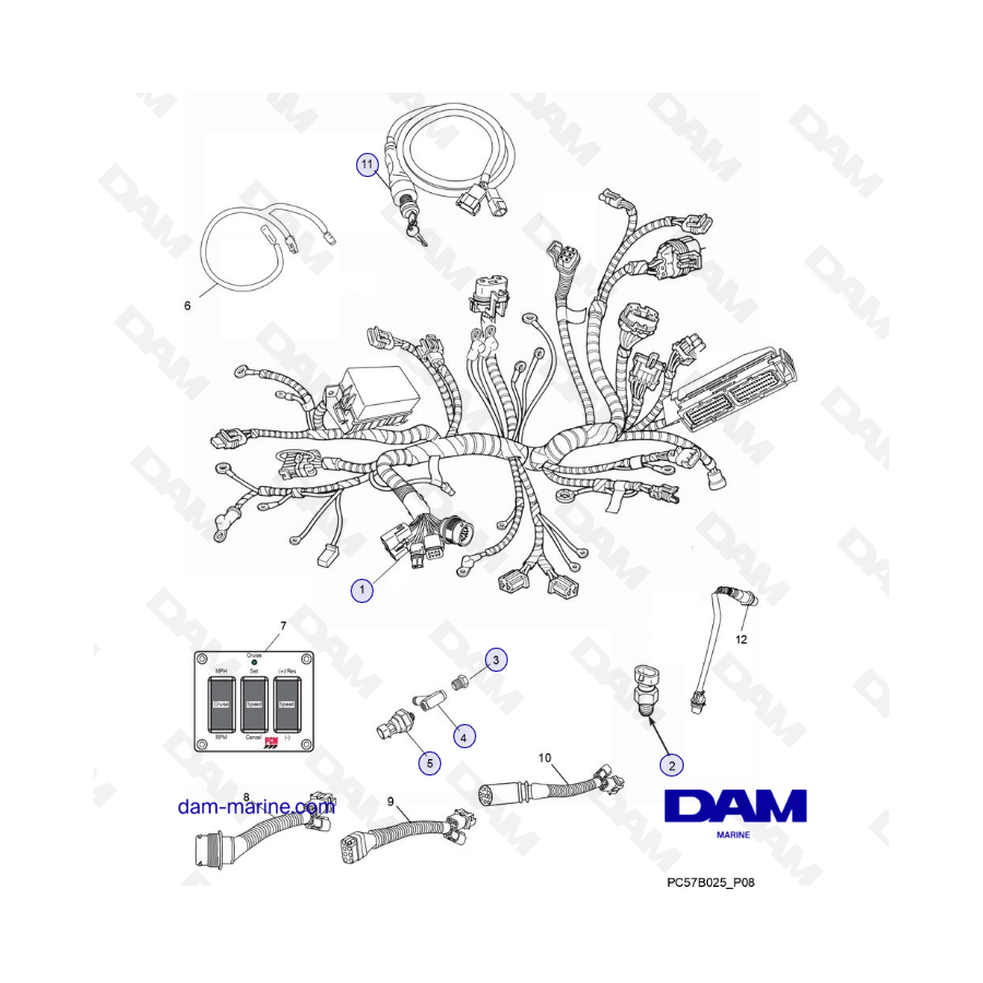 PCM Excalibur 343 2010-2012 - Conjuntos de arneses de cableado y sensores