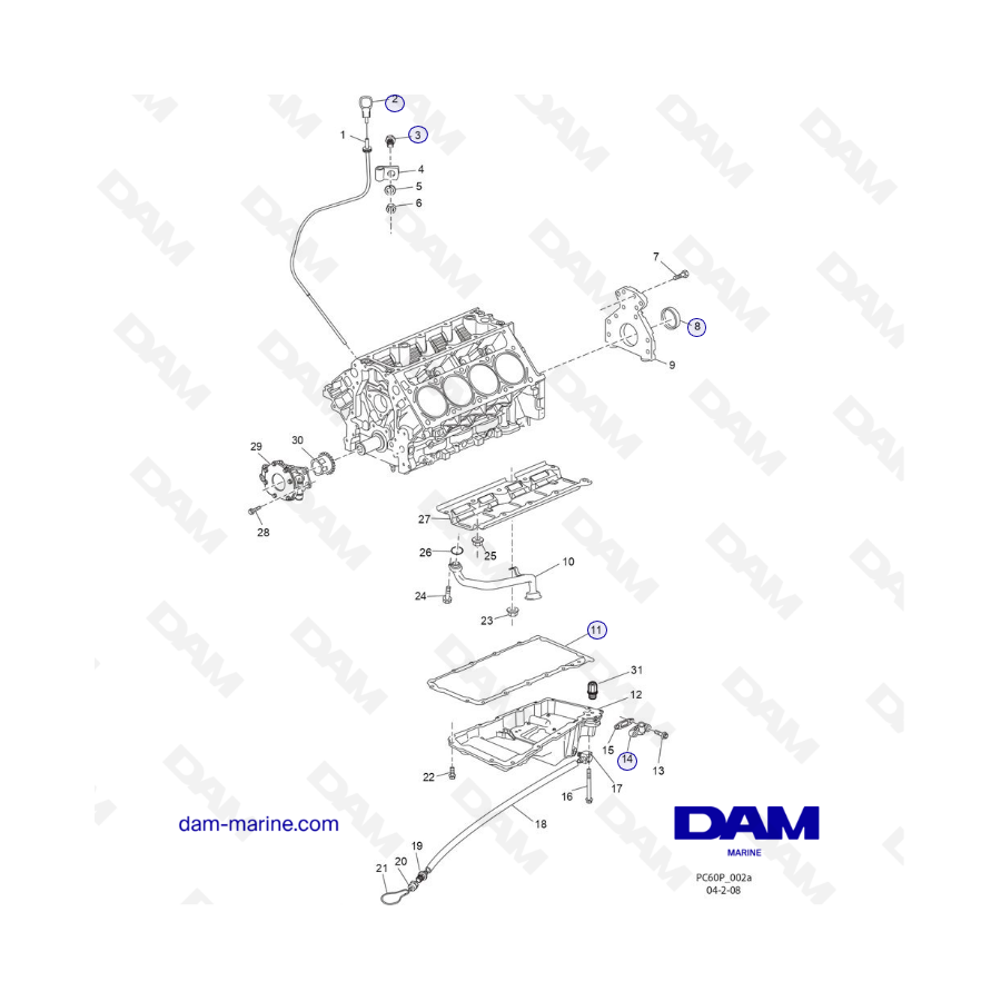 PCM ZR409 - ZR450 - 10+ - CONJUNTO DE CÁRTER DE ACEITE Y BOMBA DE ACEITE