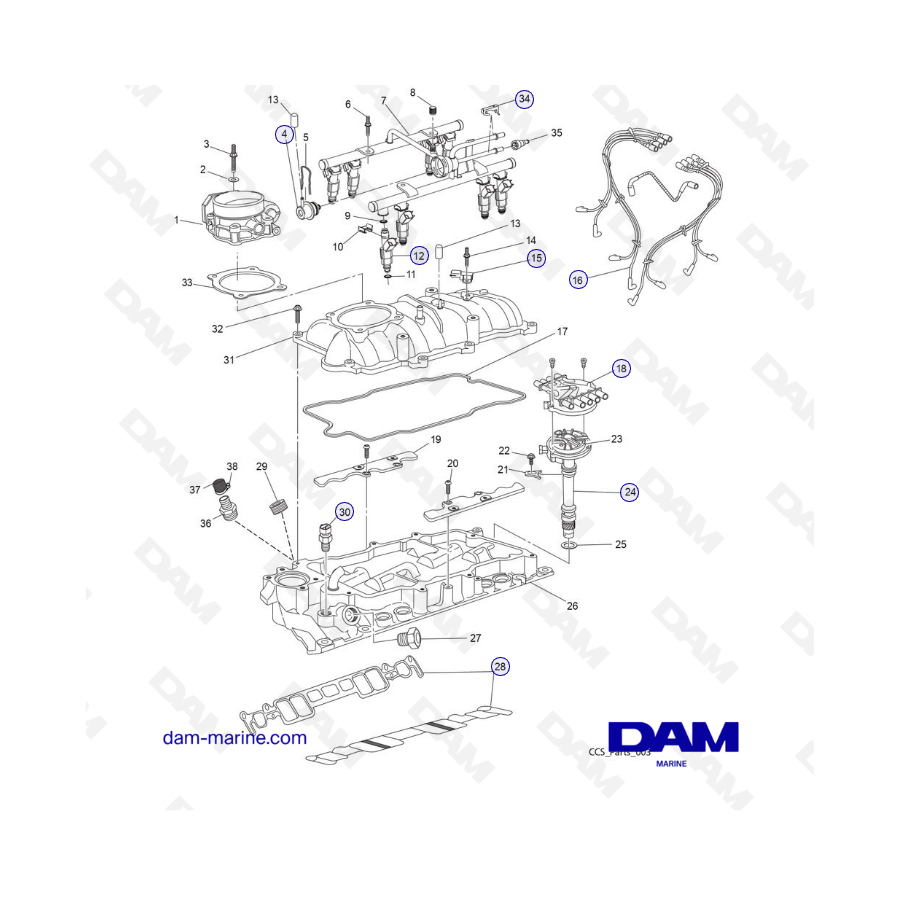 PCM Challenger 5.7 - INTAKE MANIFOLD ASSEMBLY