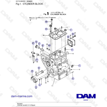 Yanmar 2GM20 - Bloque de...