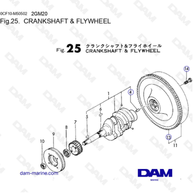 Yanmar 2GM20 - CRANKSHAFT & FLYWHEEL