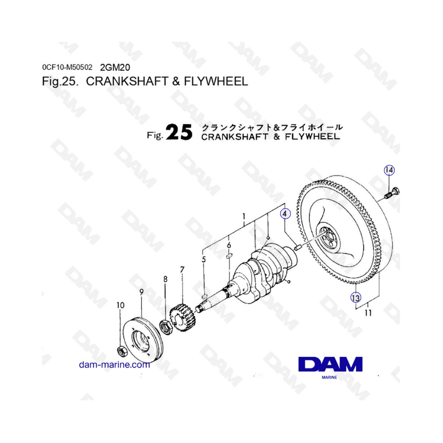 Yanmar 2GM20 - CRANKSHAFT & FLYWHEEL