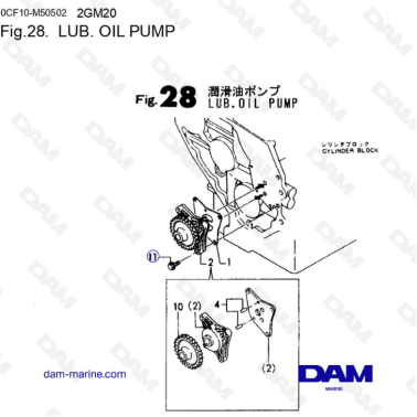 Yanmar 2GM20 - LUB. BOMBA...