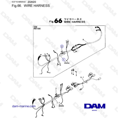 Yanmar 2GM20 - Arnés de cables