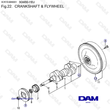 Yanmar 3GM30-YEU - CRANKSHAFT & FLYWHEEL