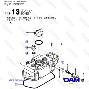 Yanmar 2GM20-YEU - CAPÓ