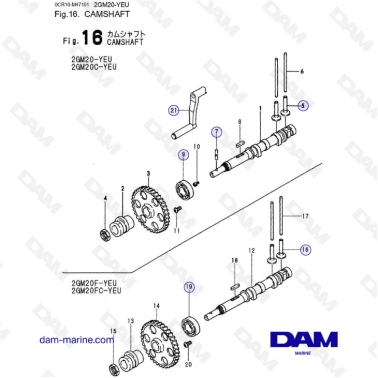 Yanmar 2GM20-YEU - ÁRBOL DE...