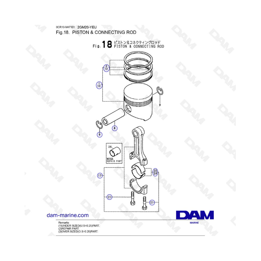 Yanmar 2GM20-YEU - PISTON & CONNECTING ROD