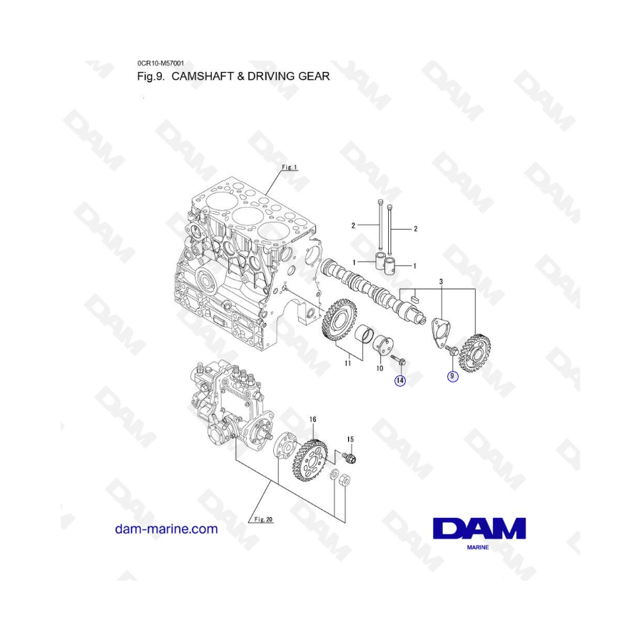 Yanmar 3YM20 - CAMSHAFT & DRIVING GEAR