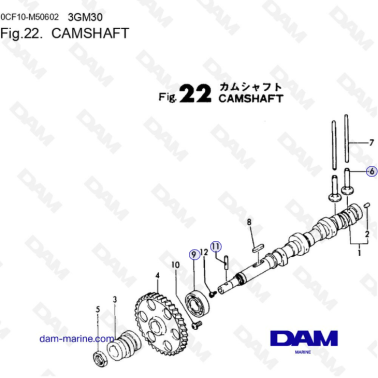 Yanmar 3GM30 - CAMSHAFT