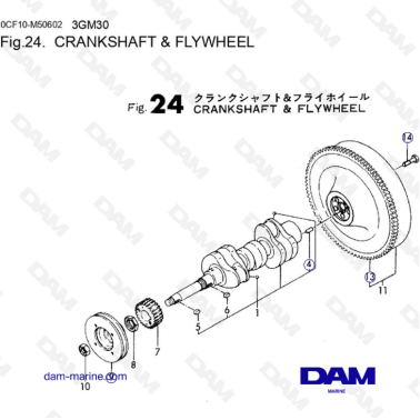 Yanmar 3GM30 - CRANKSHAFT & FLYWHEEL