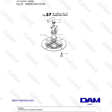 Yanmar 3GM30 - KINGSTON COCK