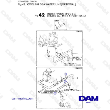Yanmar 3GM30 - COOLING SEA WATER LINE