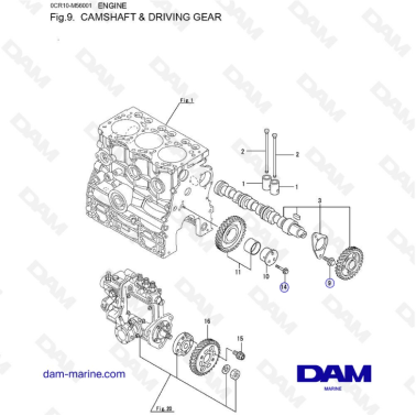 Yanmar 3YM30 - CAMSHAFT & DRIVING GEAR