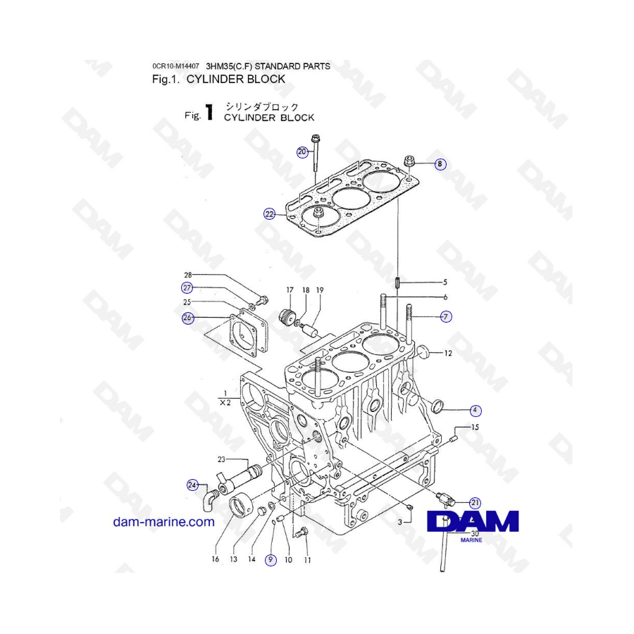 Yanmar 3HM35 - CYLINDER BLOCK