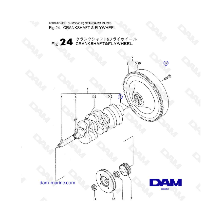 Yanmar 3HM35 - CRANKSHAFT & FLYWHEEL