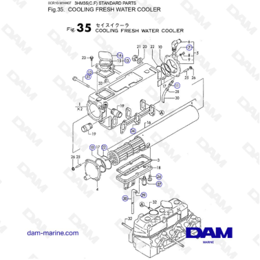 Yanmar 3HM35 - COOLING FRESH WATER COOLER