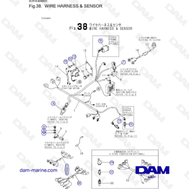 Yanmar 3JH3 - WIRE HARNESS & SENSOR