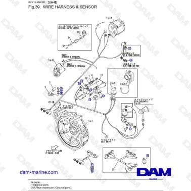 Yanmar 3JH4E - WIRE HARNESS & SENSOR