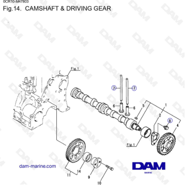 Yanmar 4LHA - CAMSHAFT & DRIVING GEAR