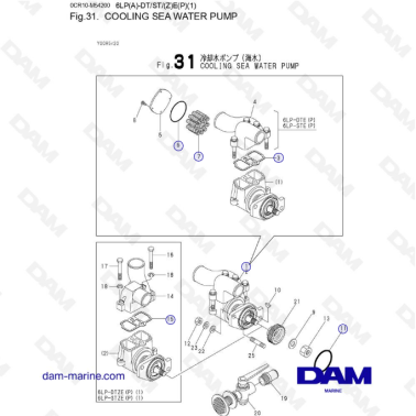 Yanmar 6LP-DTE - BOMBA DE...