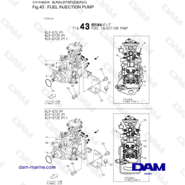 Yanmar 6LP-DTE - BOMBA DE...