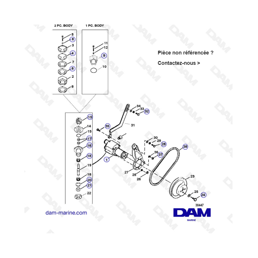 VISTA DE DESPIECE - MERCRUISER 4.3L (GEN 2) GM262 V6 - 1996 - BOMBA DEL CÁRTER DE ACEITE