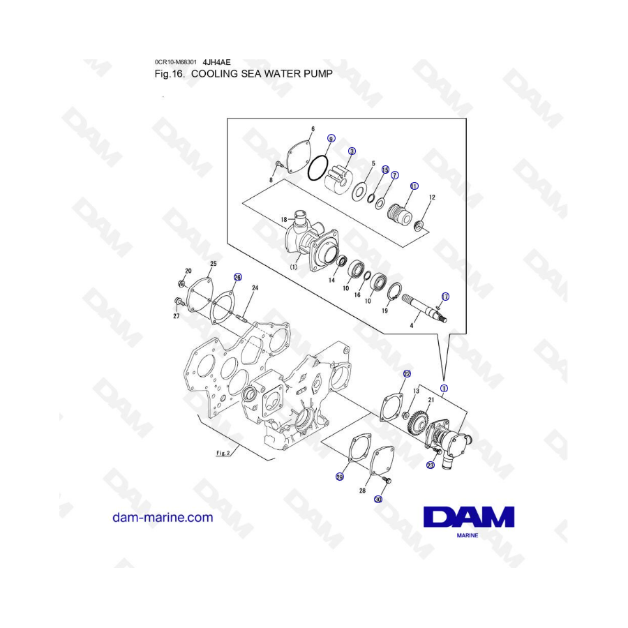 Yanmar 4JH4-AE - BOMBA DE AGUA DE MAR REFRIGERADA