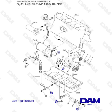 Yanmar 6LY2 - LUB. OIL PUMP & LUB. OIL PIPE