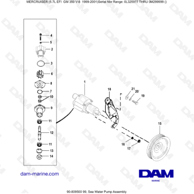 5.7L EFI GM350 V8 (1999-2001) - Sea water pump assembly