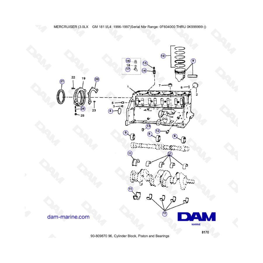 MERCRUISER 3.0LX GM181 - Bloque de cilindros, pistón y cojinetes