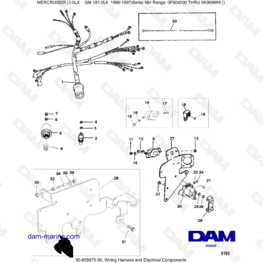 MERCRUISER 3.0LX GM181 - Wiring harness & electrical components