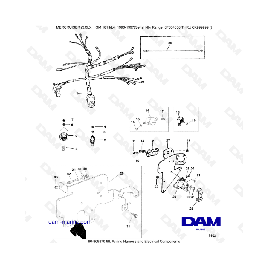 MERCRUISER 3.0LX GM181 - Wiring harness & electrical components