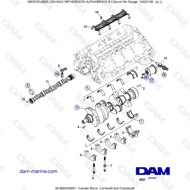 MERCRUISER 350 MAG MPI HORIZON - Cylinder block, camshaft & crankshaft