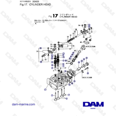Yanmar 2GM20 - Cylinder Head