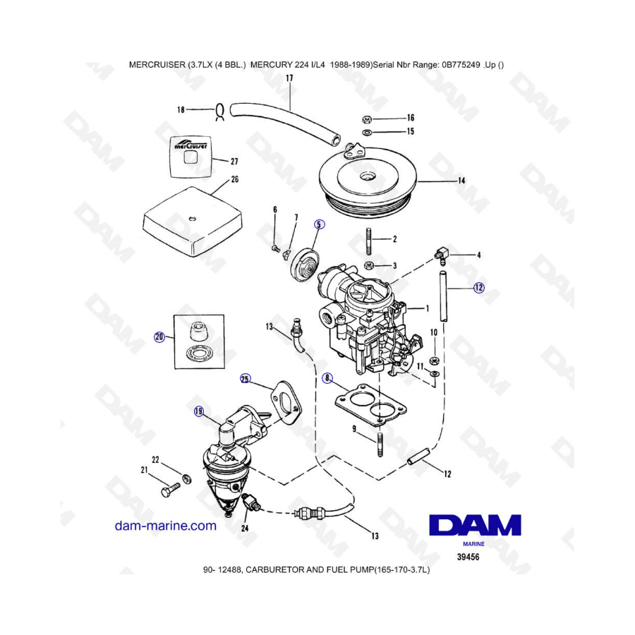 MERCRUISER 3.7LX - Carburetor & fuel pump MERCRUISER 3.7LX - Carburetor & fuel pump