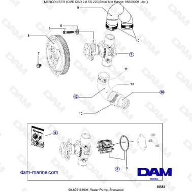 MERCRUISER CMD QSD 2.8 ES 220 - Water pump, sherwood