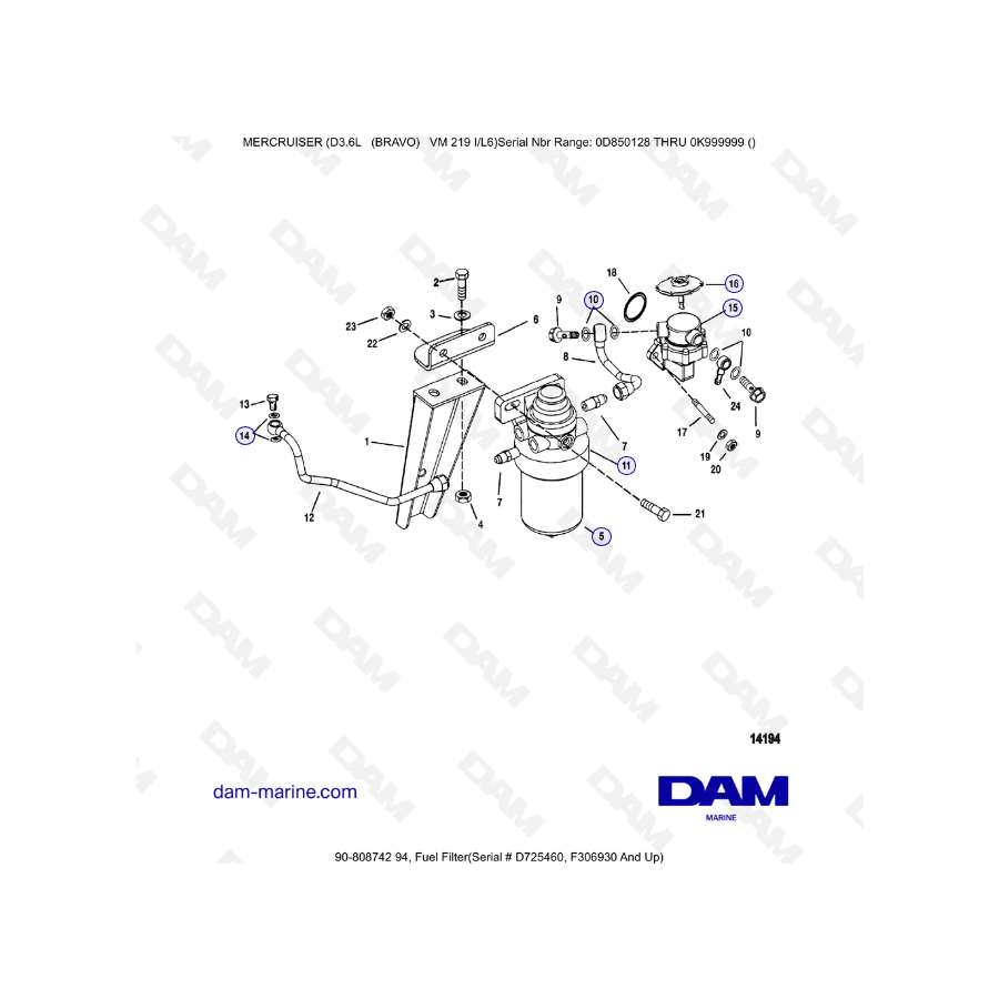 Mercruiser D3.6L (BRAVO) - Filtro de combustible (2)