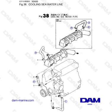 Yanmar 3GM30 - Línea de...