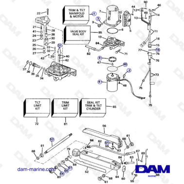 OMC King Base - Cylinders