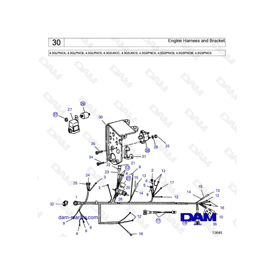 Volvo Penta 4.3L GS - Arnés y soporte del motor