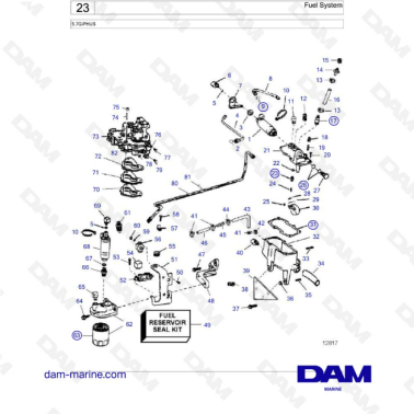 Volvo Penta 5.7L GI - Fuel system