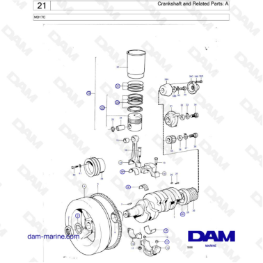 Volvo Penta MD17 - Crankshaft & related parts