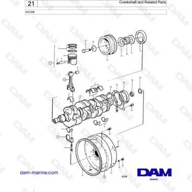 Volvo Penta AQ125 - Crankshaft & related parts