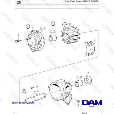 Volvo Penta AQ120B / AQ125A / AQ140A / BB140A - Sea water pump: 828026, 855578