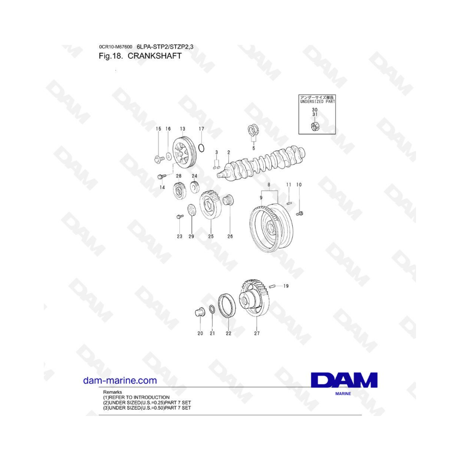 Yanmar 6LPA-STP2 / STZP2 / STZP3 - Crankshaft
