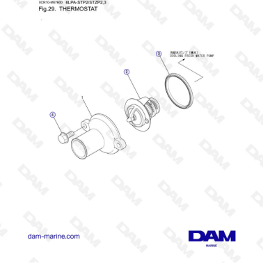 Yanmar 6LPA-STP2 / 6LPA-STZP2 / 6LPA-STZP3 - Thermostat