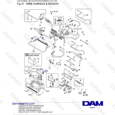 Yanmar 6LY3-ETP/STP/UTP/STC/UTC - Wire harness & sensor