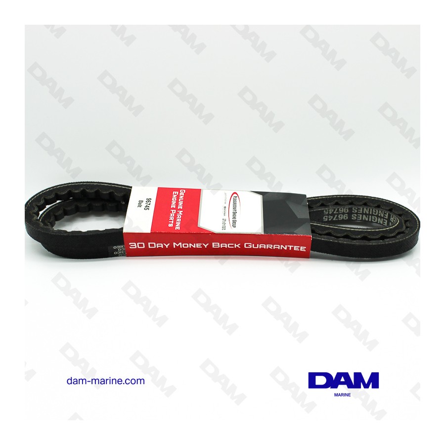 pompa-cinghia-alternatore-bb.jpg