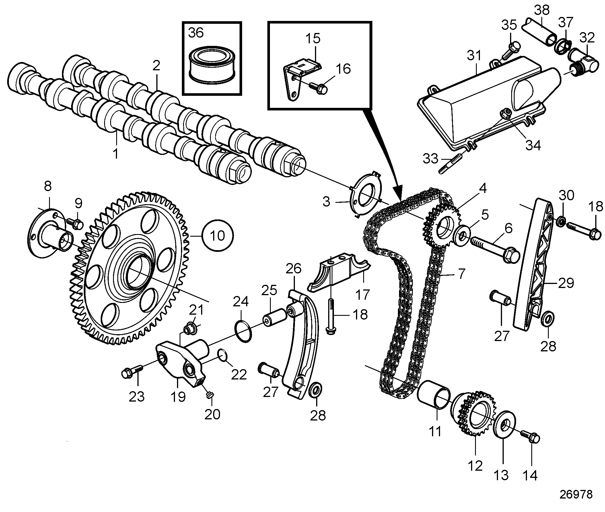 Árbol de levas y cadena de árbol de levas.